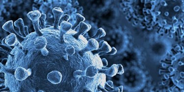 Coronavirus under microscope