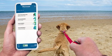 Man Taking Dog For A Walk Holding Mobile Phone