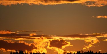Sunset over a distant woodland